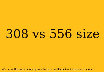 308 vs 556 size