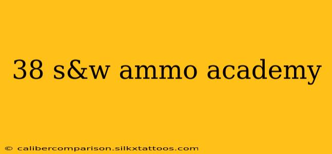 38 s&w ammo academy