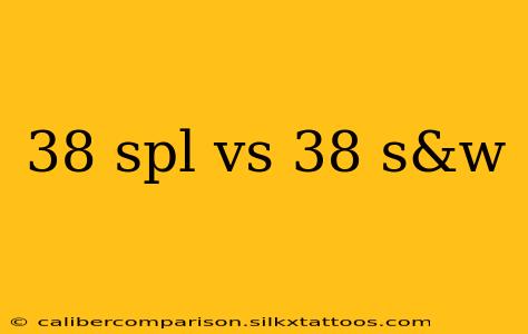 38 spl vs 38 s&w