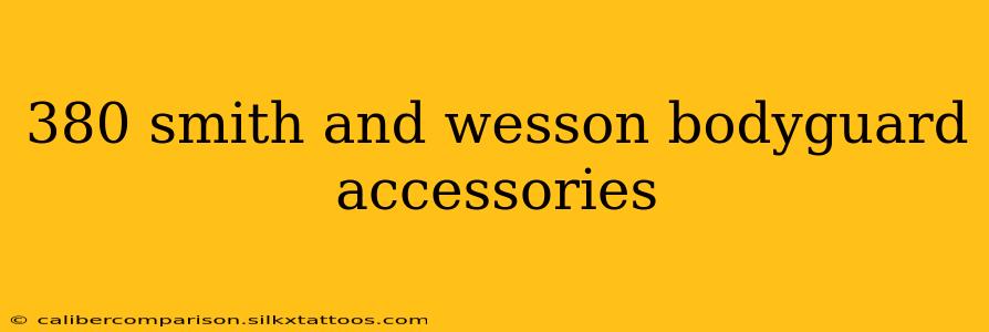 380 smith and wesson bodyguard accessories