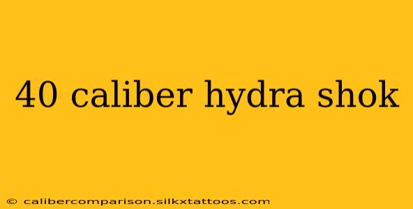 40 caliber hydra shok