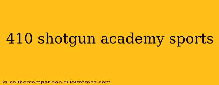 410 shotgun academy sports