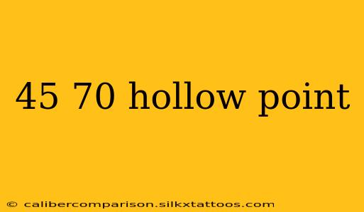 45 70 hollow point