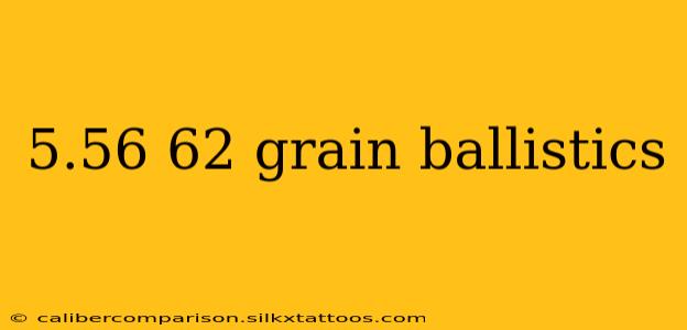 5.56 62 grain ballistics