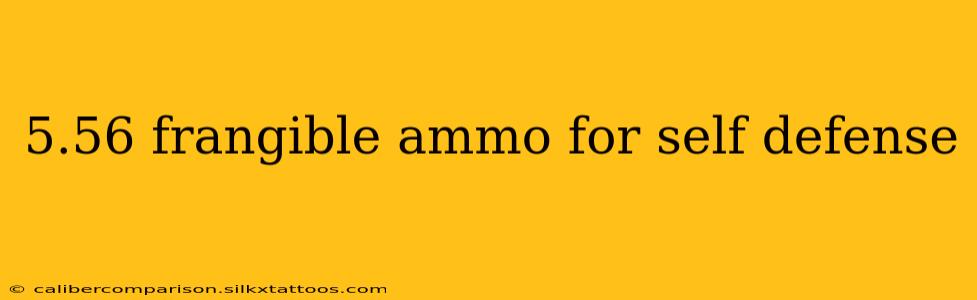 5.56 frangible ammo for self defense