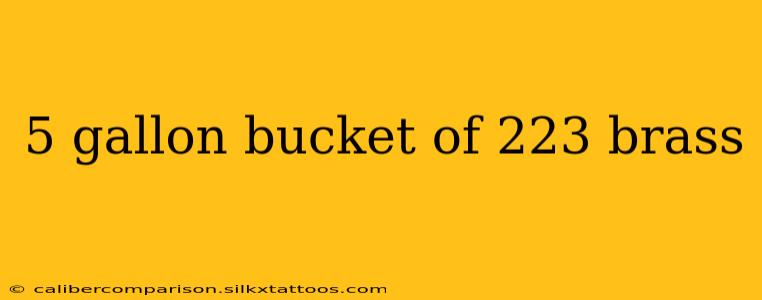 5 gallon bucket of 223 brass