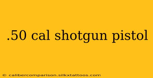 .50 cal shotgun pistol