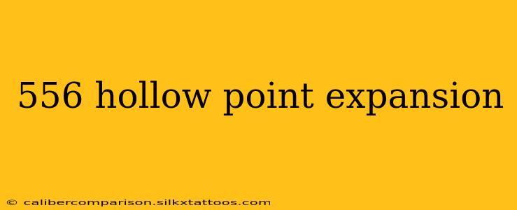 556 hollow point expansion