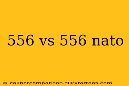 556 vs 556 nato