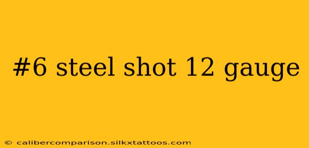 #6 steel shot 12 gauge