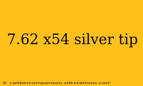 7.62 x54 silver tip