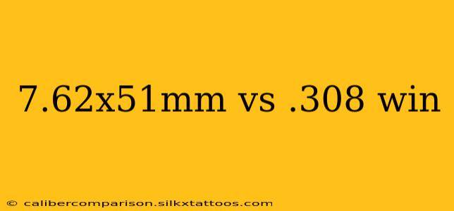 7.62x51mm vs .308 win