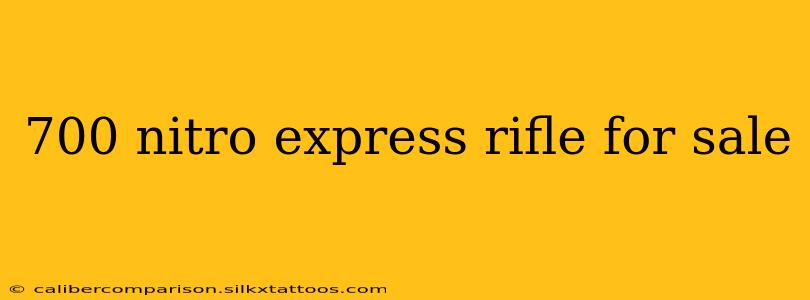 700 nitro express rifle for sale