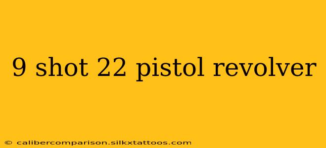 9 shot 22 pistol revolver