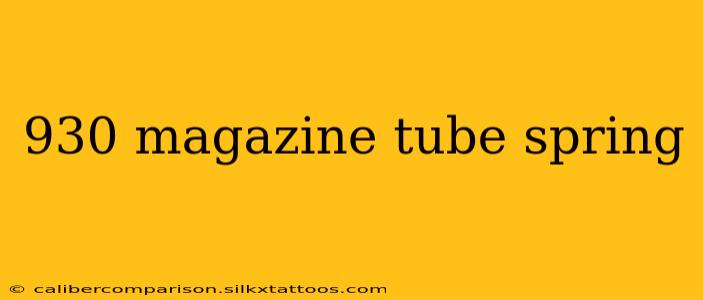 930 magazine tube spring