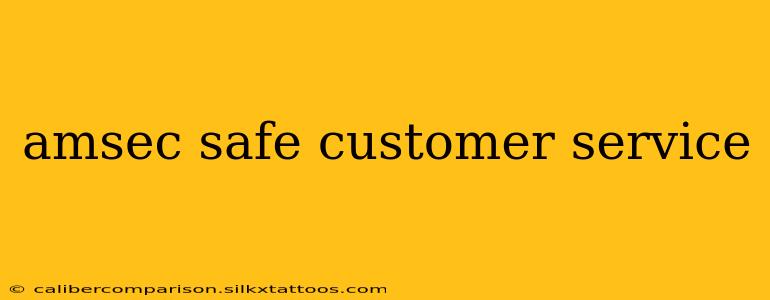 amsec safe customer service