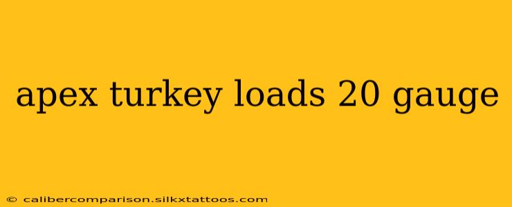 apex turkey loads 20 gauge