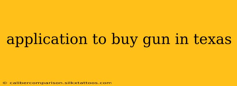 application to buy gun in texas