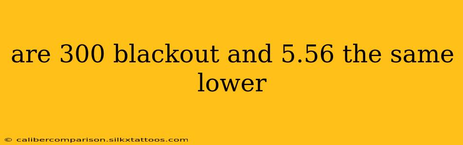 are 300 blackout and 5.56 the same lower