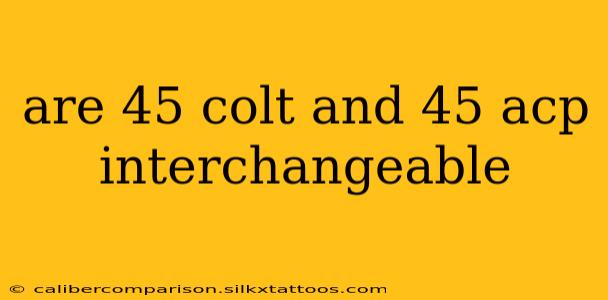 are 45 colt and 45 acp interchangeable