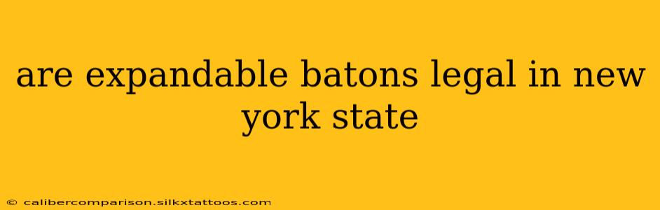 are expandable batons legal in new york state