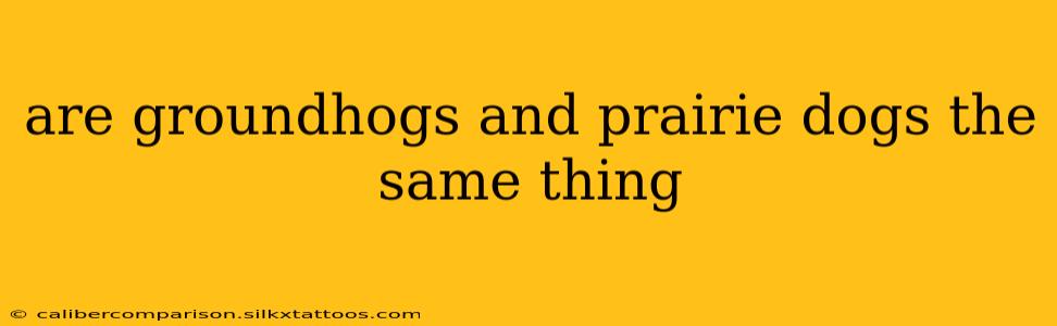 are groundhogs and prairie dogs the same thing