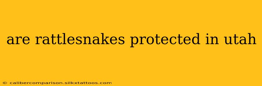 are rattlesnakes protected in utah