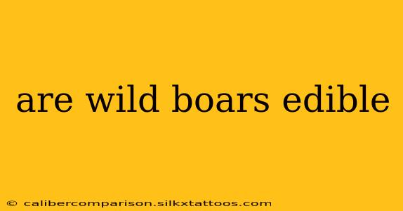 are wild boars edible