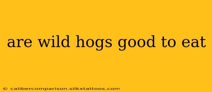 are wild hogs good to eat