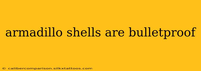 armadillo shells are bulletproof