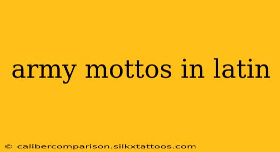 army mottos in latin