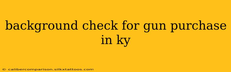 background check for gun purchase in ky