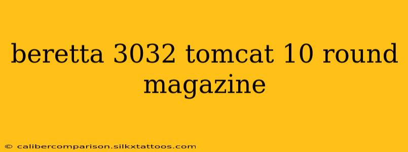 beretta 3032 tomcat 10 round magazine