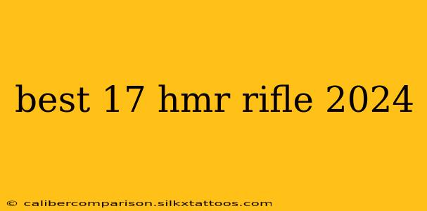 best 17 hmr rifle 2024