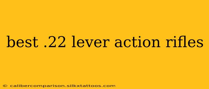 best .22 lever action rifles