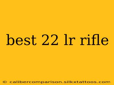 best 22 lr rifle