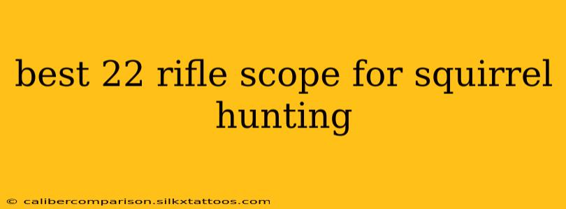 best 22 rifle scope for squirrel hunting