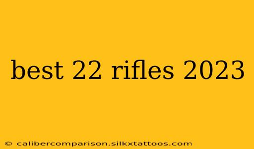 best 22 rifles 2023