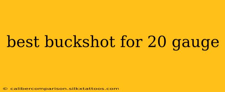 best buckshot for 20 gauge