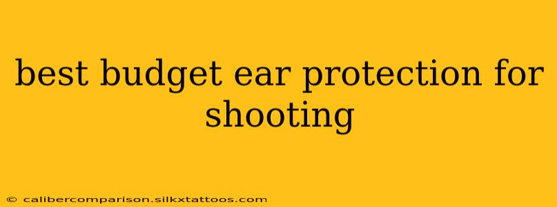 best budget ear protection for shooting