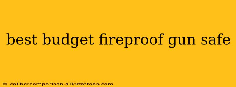 best budget fireproof gun safe