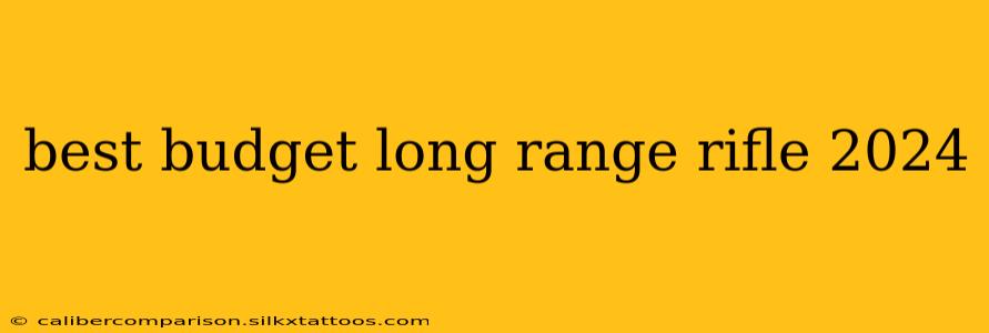 best budget long range rifle 2024