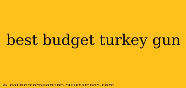 best budget turkey gun