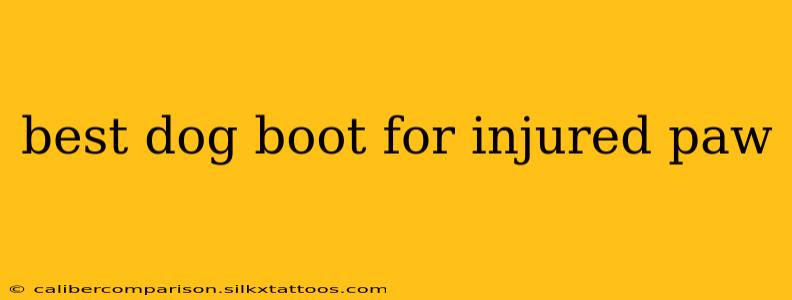 best dog boot for injured paw