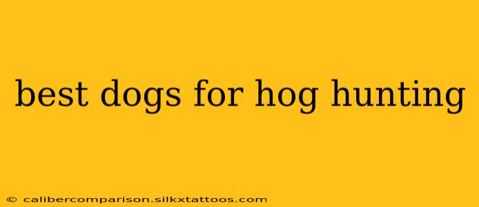 best dogs for hog hunting