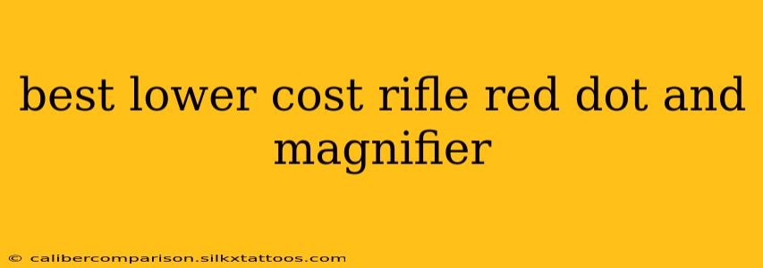 best lower cost rifle red dot and magnifier