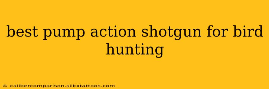 best pump action shotgun for bird hunting