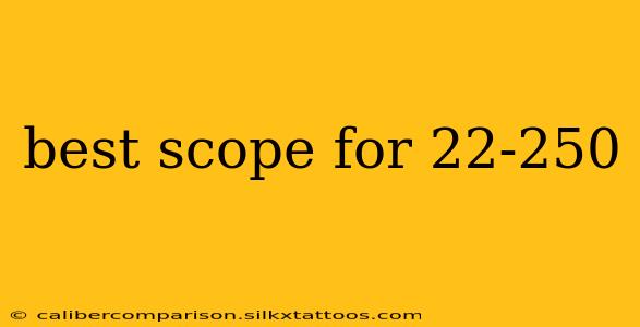 best scope for 22-250