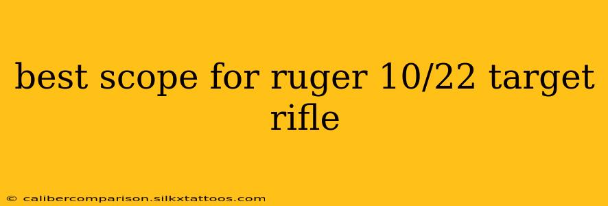 best scope for ruger 10/22 target rifle