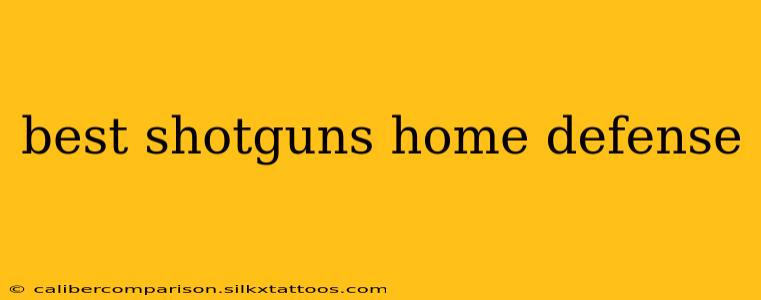 best shotguns home defense